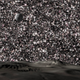 Illustration for article titled Astronomers Discover a New Class of Freakishly Dense, Compact Galaxies